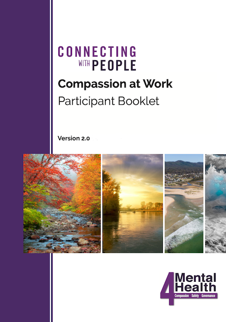 Cover of Manual